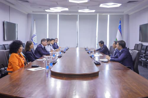 Employment of Uzbek Medical Personnel in European Clinics Discussed